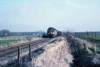 Baardegem 31-07-1966 - Z29491.jpg